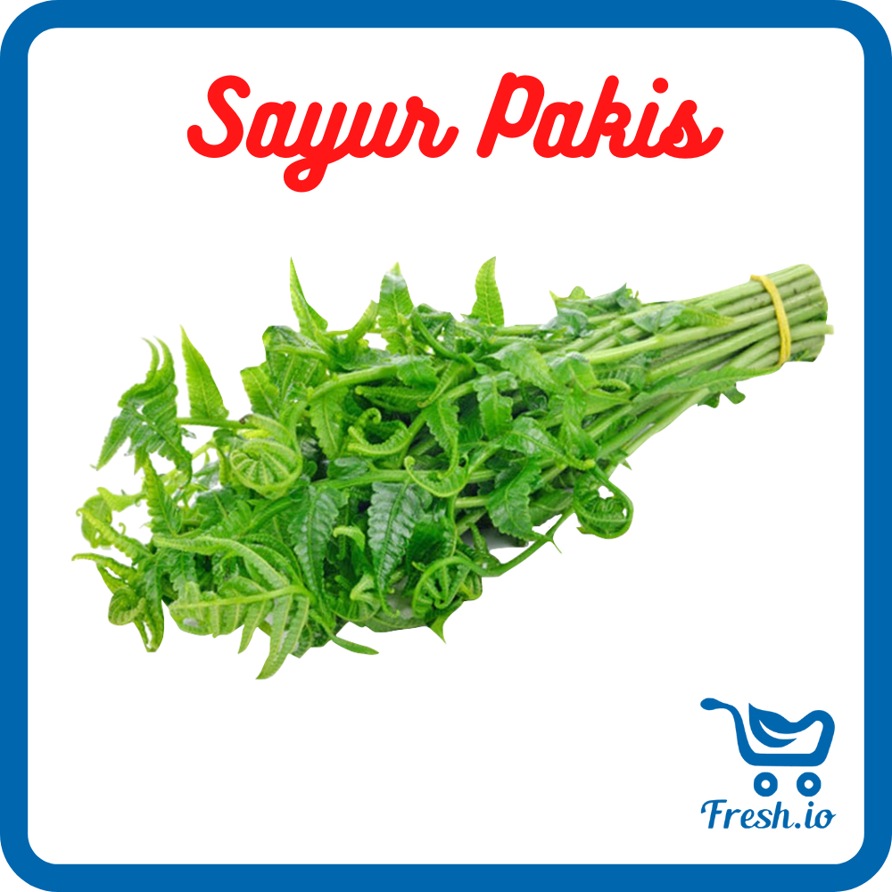 

Sayur pakis
