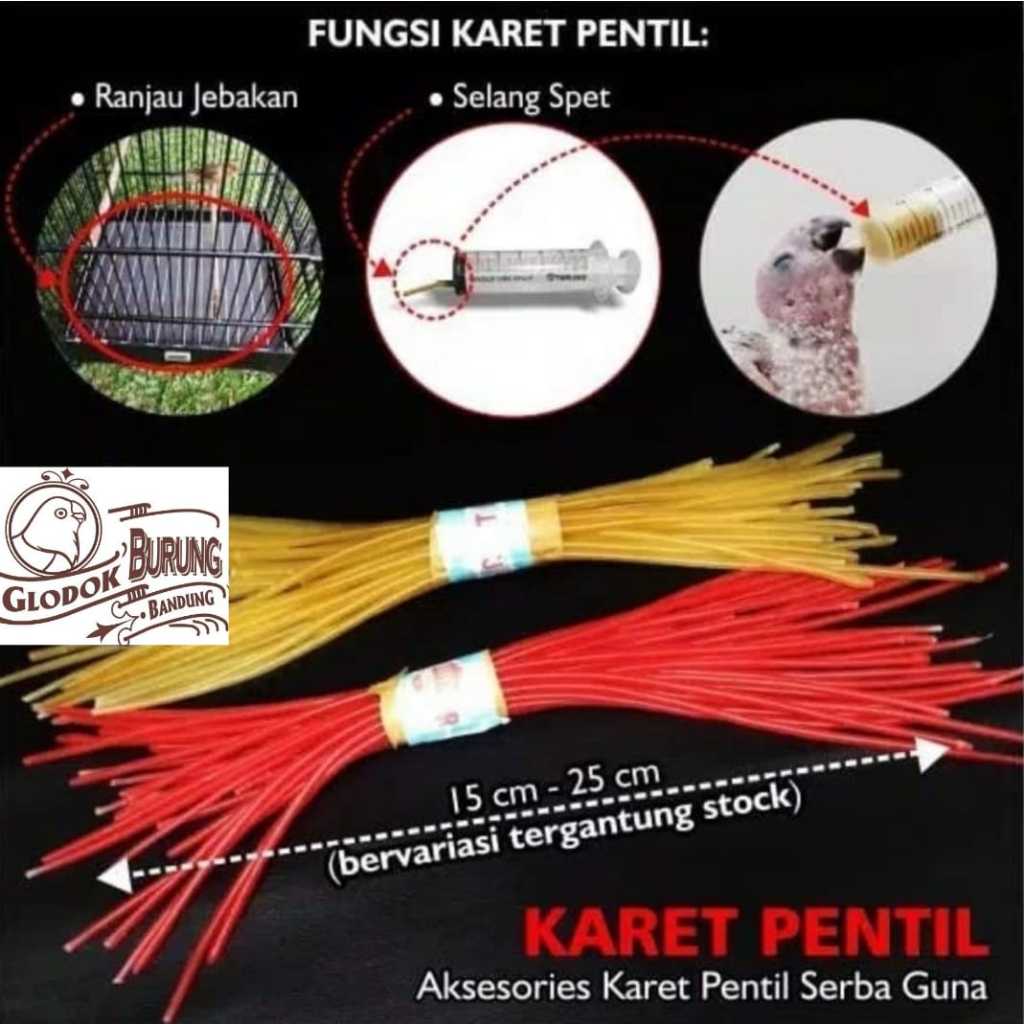 Selang Karet Pentil Sepedah Untuk Lolohan Burung Lovebird Falk
