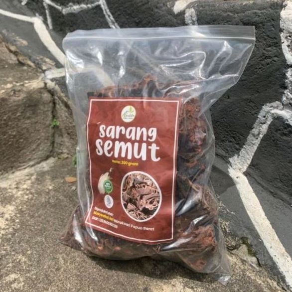 

Sarang Semut Asli Papua 1 kg Untuk Tumor Kanker Dan Lain-Lain