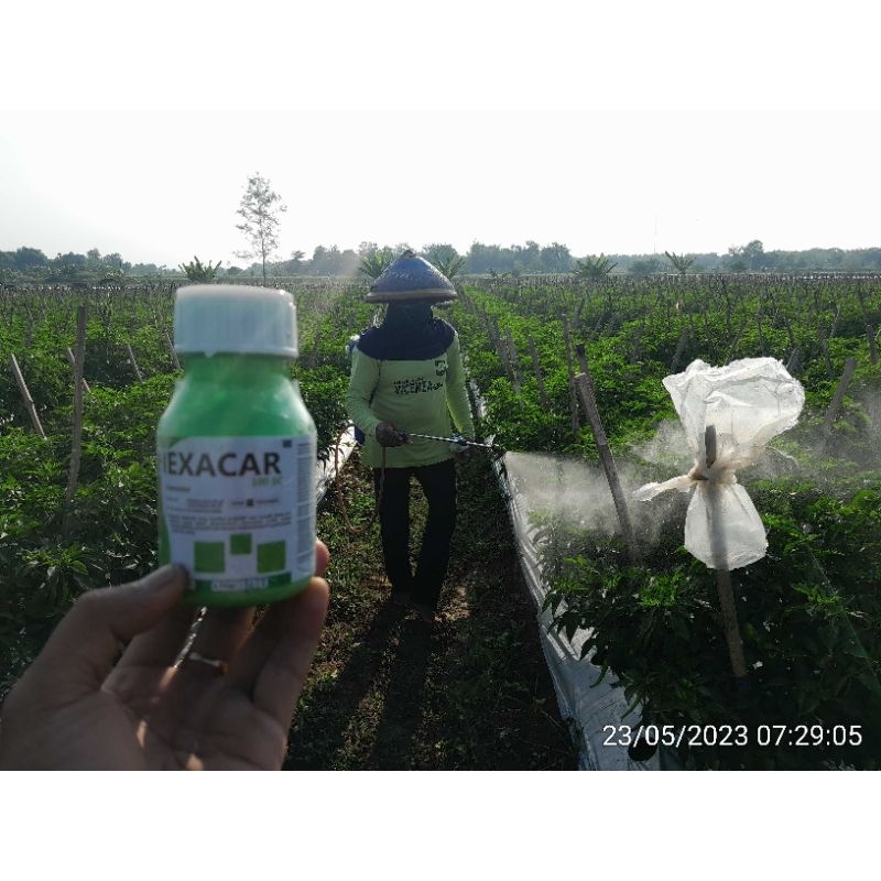 HEXACAR 100SC 500 ML