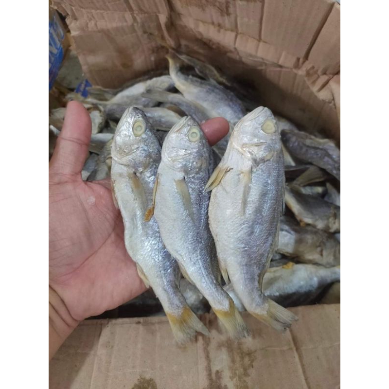 

IKAN ASIN KEPALA BATU 1 kg (gulamo)