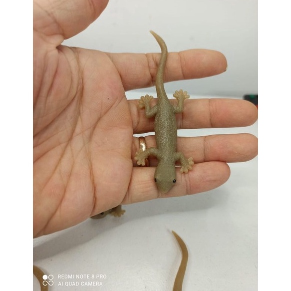 Muraaaahh mainan simulasi cicak karet mirip asli