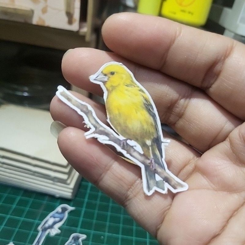 

22pcs Vintage Birds animals series sticker by Artdoeswork