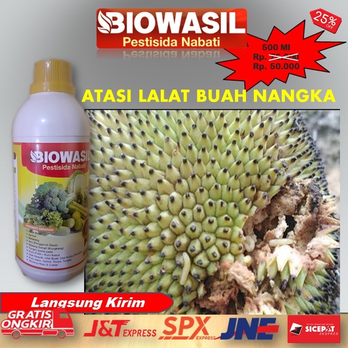 Murah BIOWASIL Pestisida Nabati 500 Ml Paling Ampuh Pupuk Pengendali Hama Lalat Buah Nangka – Obat B