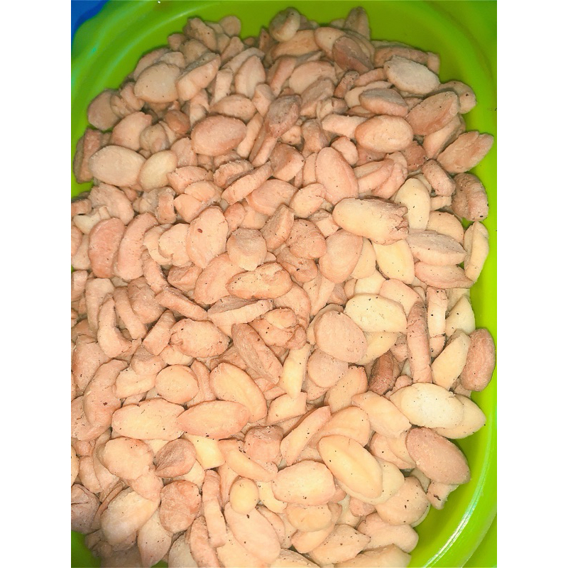 

Biji ketapang / jintan