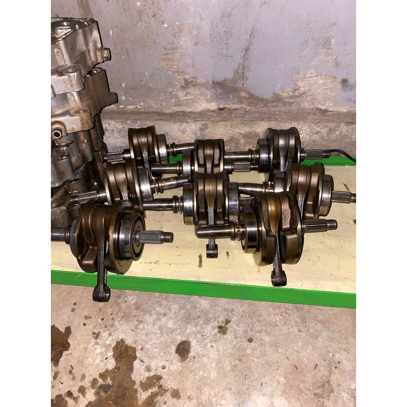 KRUK AS/BANDUL ORIGINAL COPOTAN TIGER