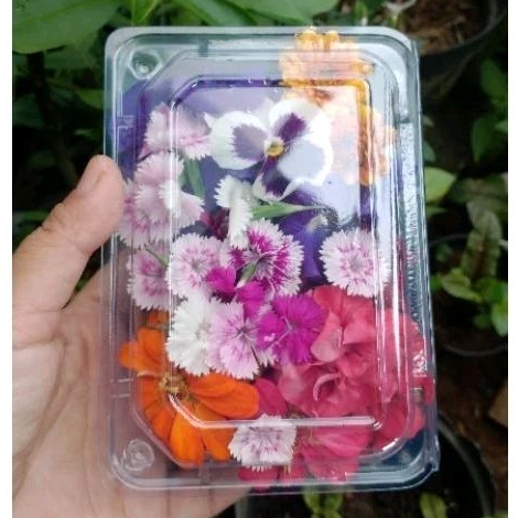 

edible flower 1 pack