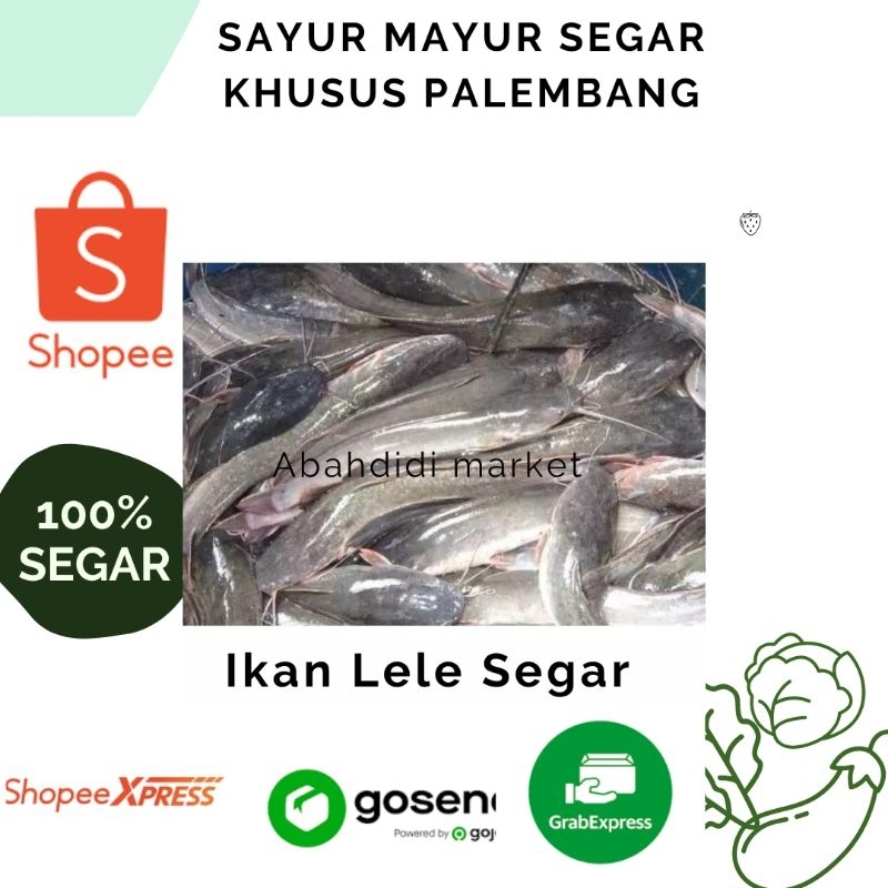 

Ikan Lele Segar Khusus Palembang