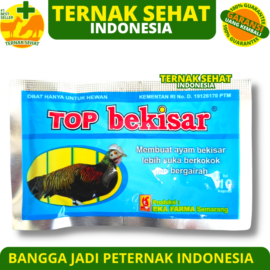 TOP BEKISAR 10 KAPSUL EKA FARMA - Vitamin Ayam Bekisar Ayam Pelung Ayam Ketawa Ayam Hutan