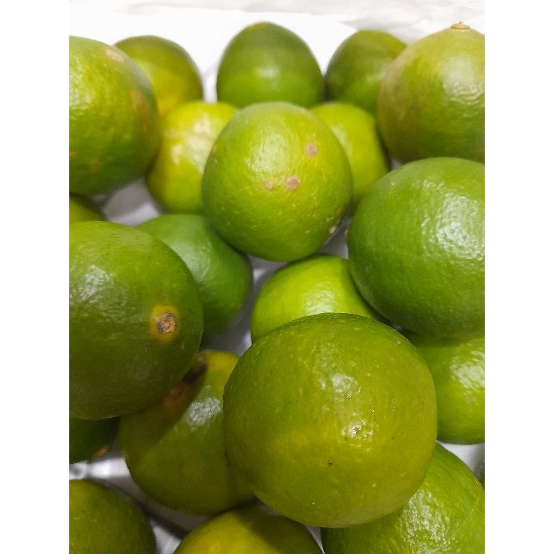 

Jeruk Nipis ukuran sedang 1 kg
