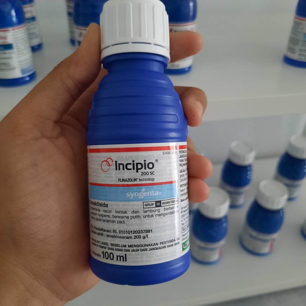INCIPIO Syngenta 100 ML Untuk Sundep Padi Insektisida Kontak