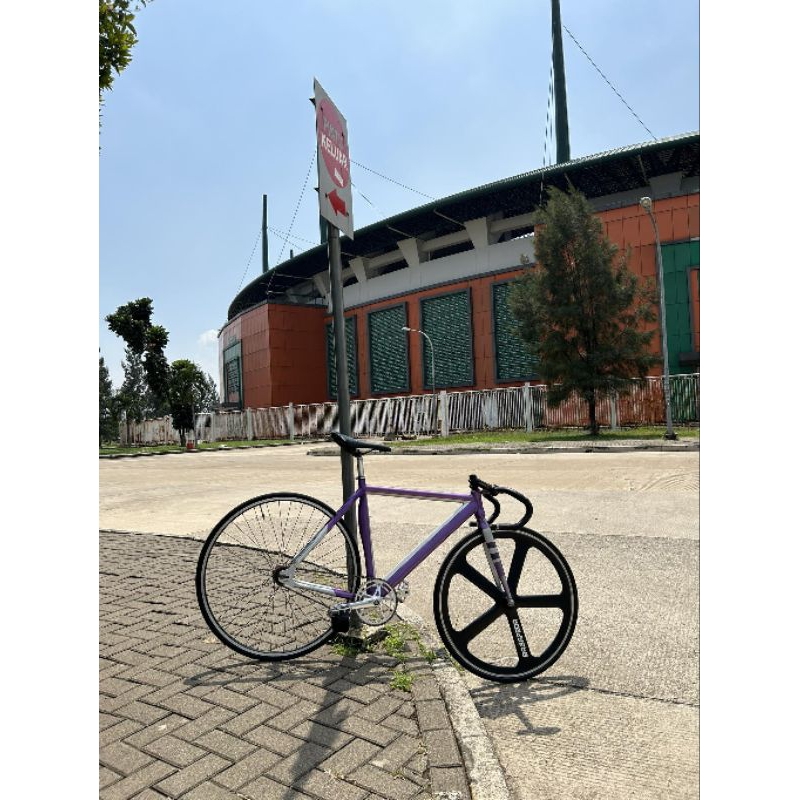 Soloist 79 Tanpa Ws