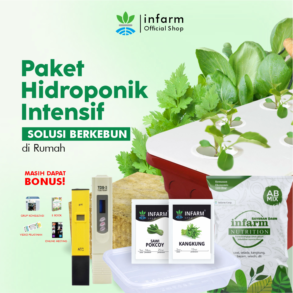 INFARM - Paket Intensif Hidroponik Set Benih Sayur Daun Rockwool Netpot AB Mix Peralatan Berkebun