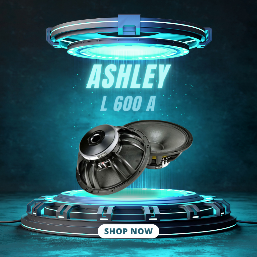 SPEAKER KOMPONEN ASHLEY L 600 A / L-600A / L600A WOOFER 15 INCH GARANSI RESMI ASHLEY
