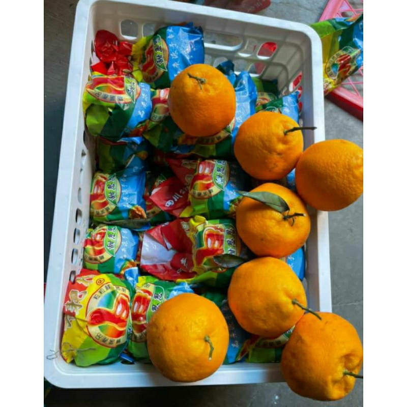 

Jeruk Dekopon l Papagan keranjang l Jbp_Fresh