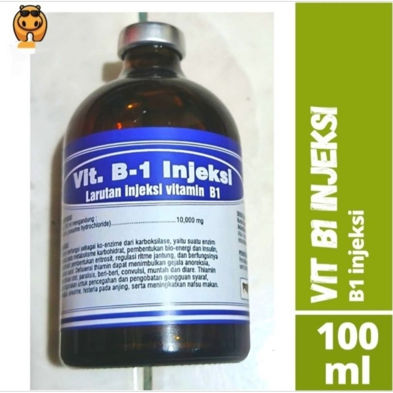 Vitamin B1 100ml injeksi Vitamin Pertumbuhan Nafsu makan hewan Sapi Kambing Babi Kuda Babi Anjing Ku