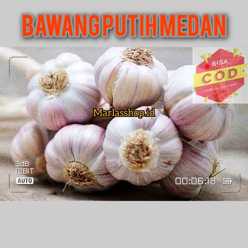 

BAWANG PUTIH Mulai 100 Gram