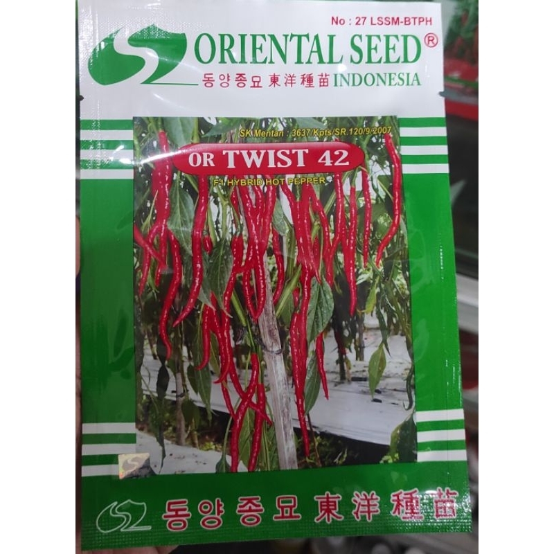 Benih cabe kriting OR TWIST 42 (10 gram)