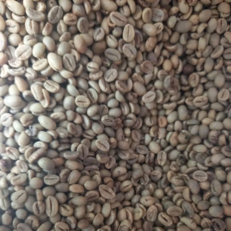 Biji kopi Green bean robusta 1 kg kopi mentah