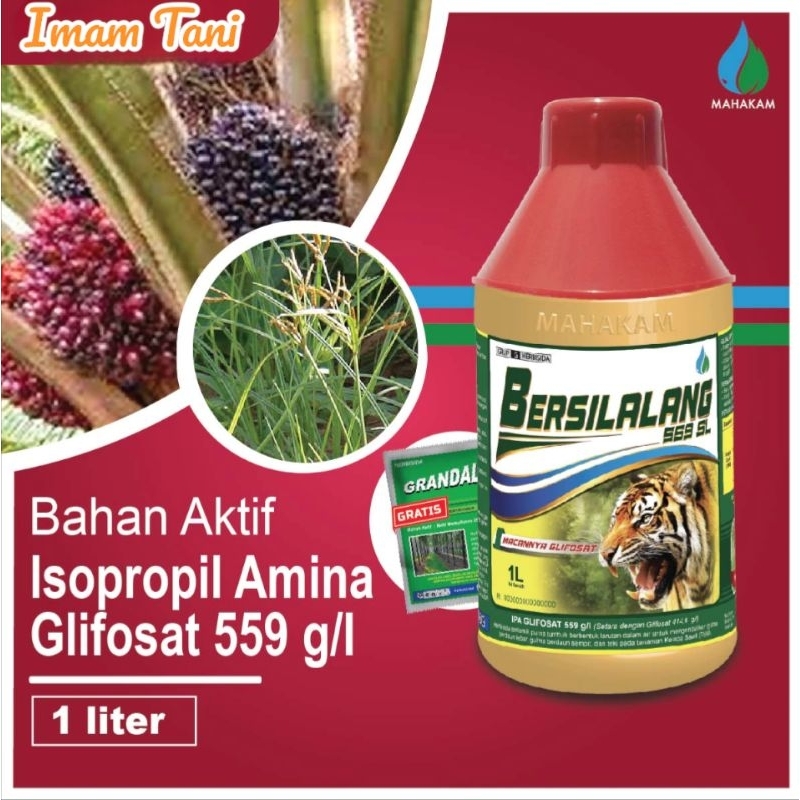 Herbisida Mahakam Bersilalang 559 SL - Sistemik
