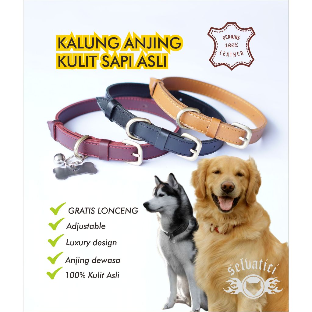 Kalung anjing bahan kulit asli liontin nama