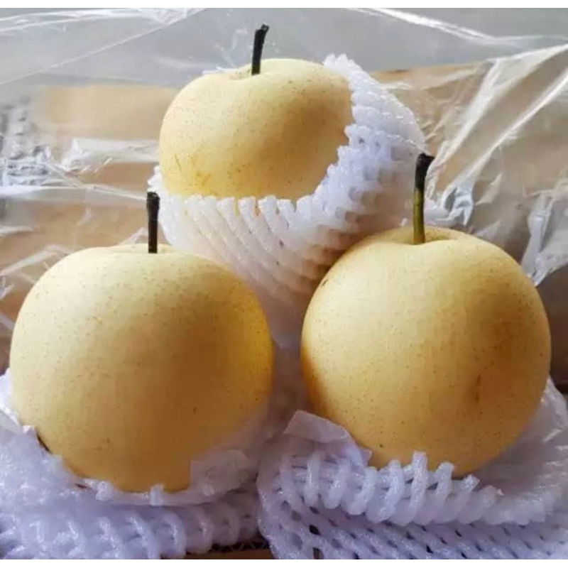 

pier century dus 15kg