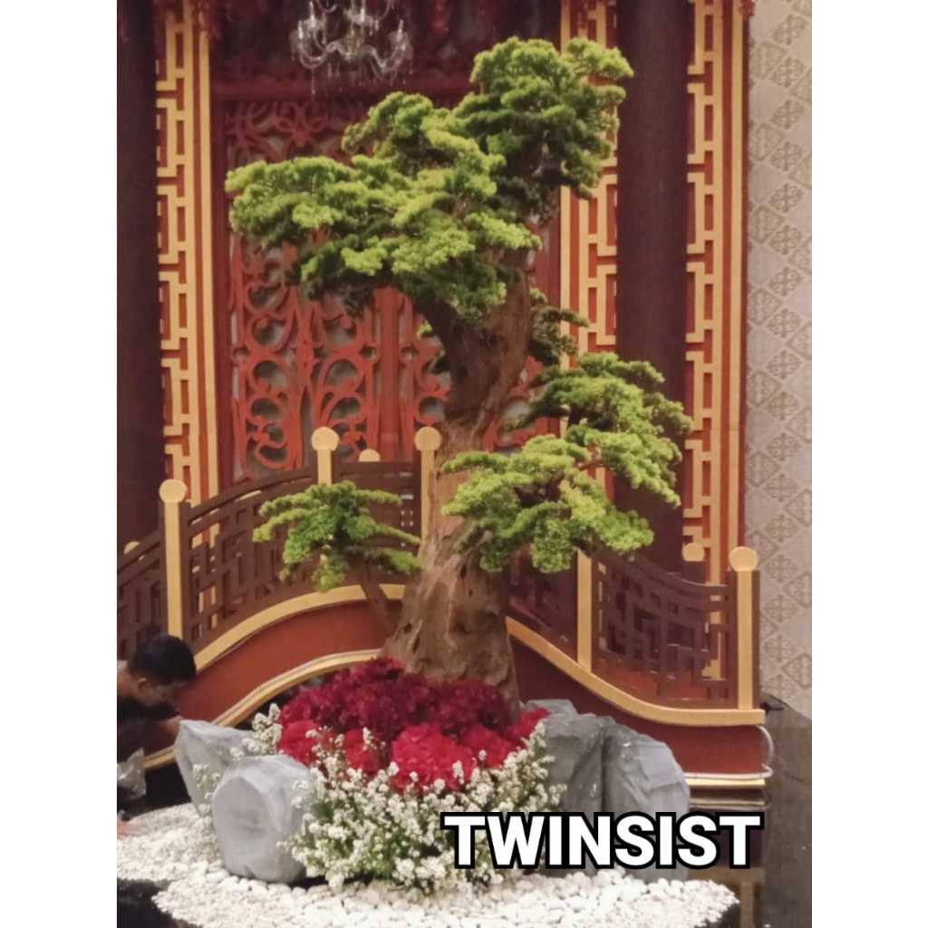 Pohon Bonsai Cemara Udang Plastik Artificial Palsu Tinggi 170 cm / Pohon Hias Plastik / Pohon Plastik Besar / Bunga Plastik / Pohon Sudut / Dekorasi Rumah / Dekorasi Ruang / Hiasan Ruang Tamu