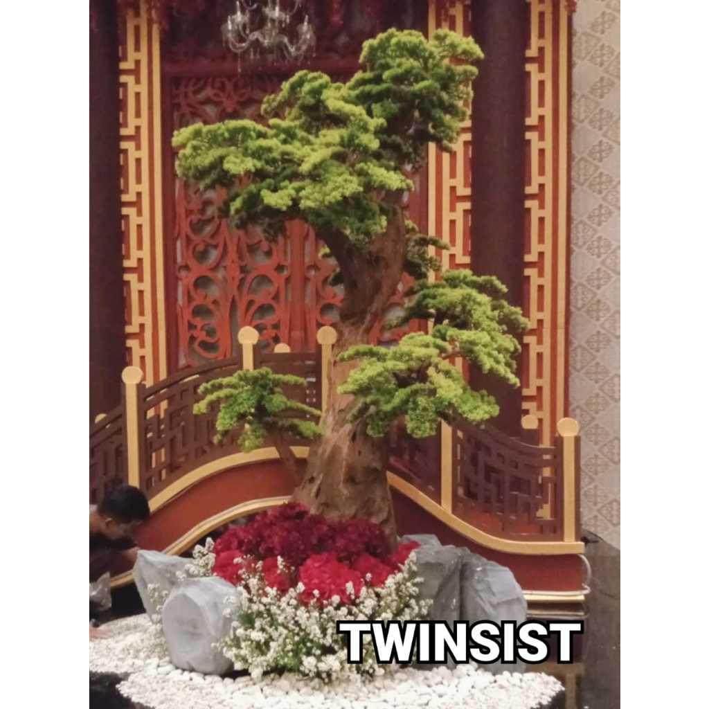 Pohon Bonsai Cemara Udang Plastik Artificial Palsu Tinggi 170 cm / Pohon Hias Plastik / Pohon Plasti