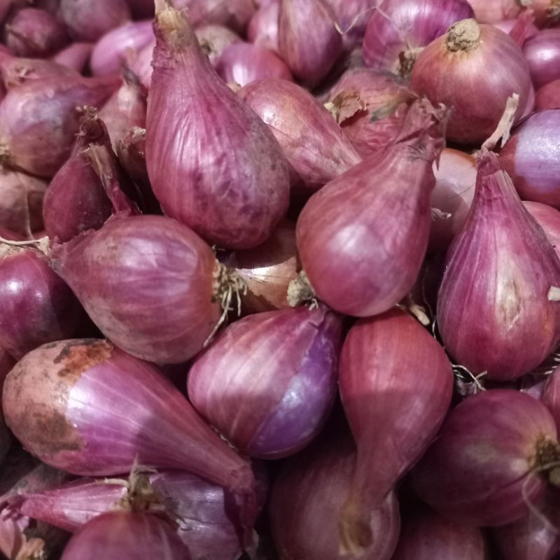 

LOCAL - Bawang Merah 1kg / Bawang Merah Kwalitas | ENGGAL JAYA