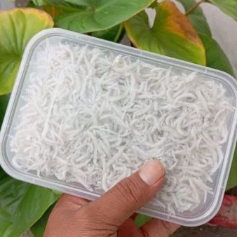 

ikan asin trinasi 250gr kualitas no 1