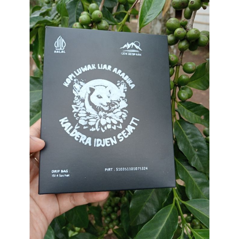 

coffee drip bag luwak liar arabica