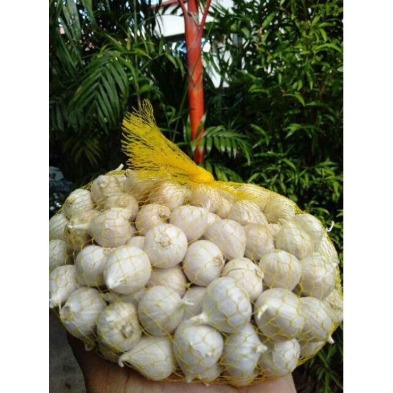 

Bawang lanang bawang putih tunggal 250gr