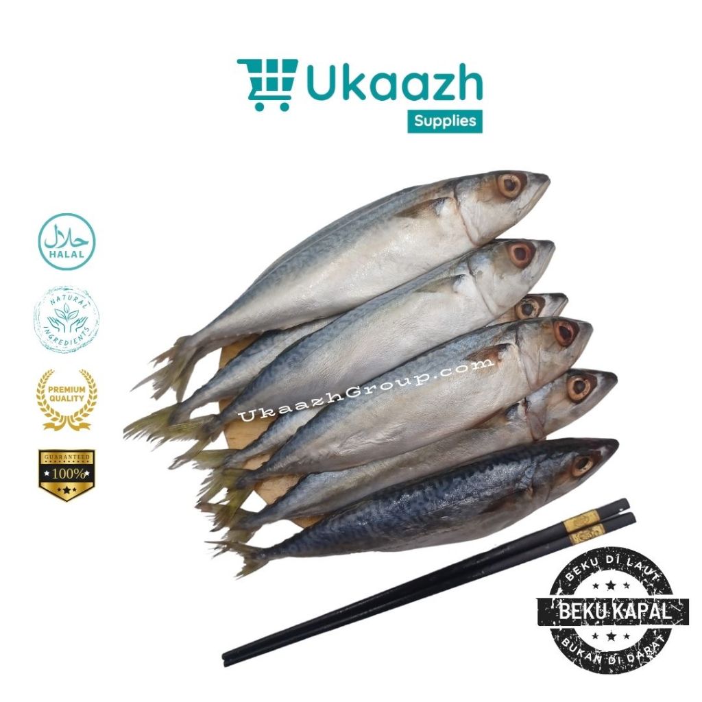 

Ukaazh Ikan Salem 1 Kg 1.000 Gram Beku Kapal Laut Frozen Segar