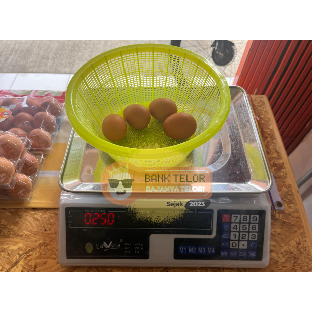 

Telur Omega 3 - 1/4KG