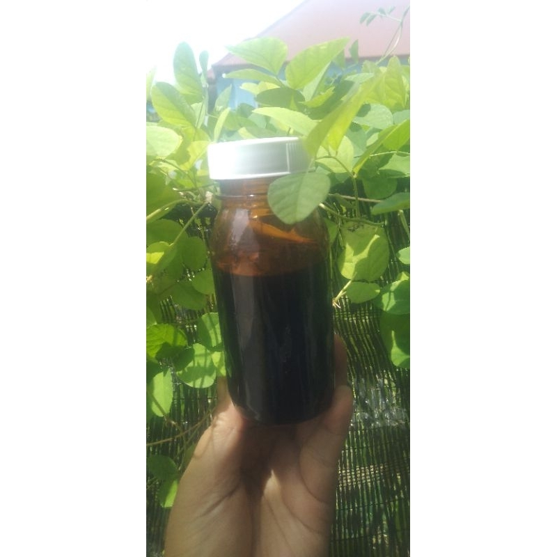 

madu ternak hitam pahit