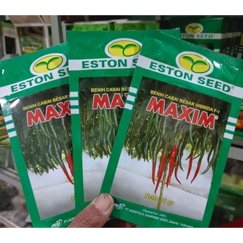 Benih Cabe Maxim F1 Cabe Besar Profit 32