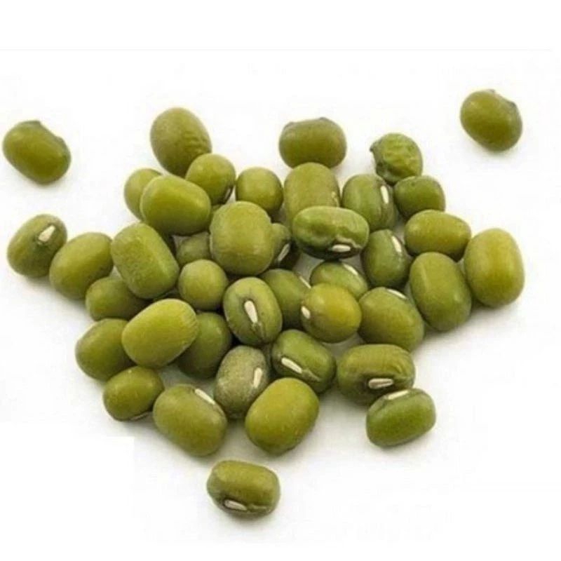 

BENIH KACANG HIJAU,BENIH KACANG HIJAU SUPER,BENIH KACANG HIJAU UNGGUL,BENIH KACANG HIJAU BERKUALITAS,BENIH KACANG HIJAU HEMAT,BENIH KACANG HIJAU MURAH 1KG