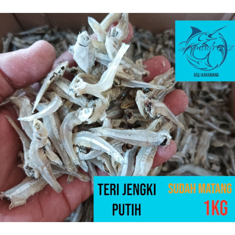 

IKAN ASIN TERI JENGKI PUTIH -1KG