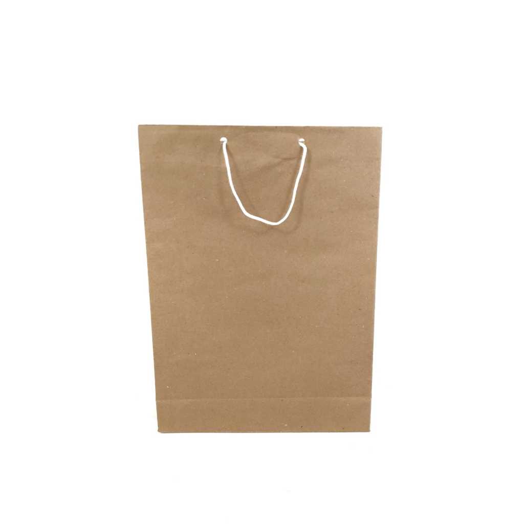 

Paper bag coklat tali polos ukuran 25 x 8 x 33,5 cm