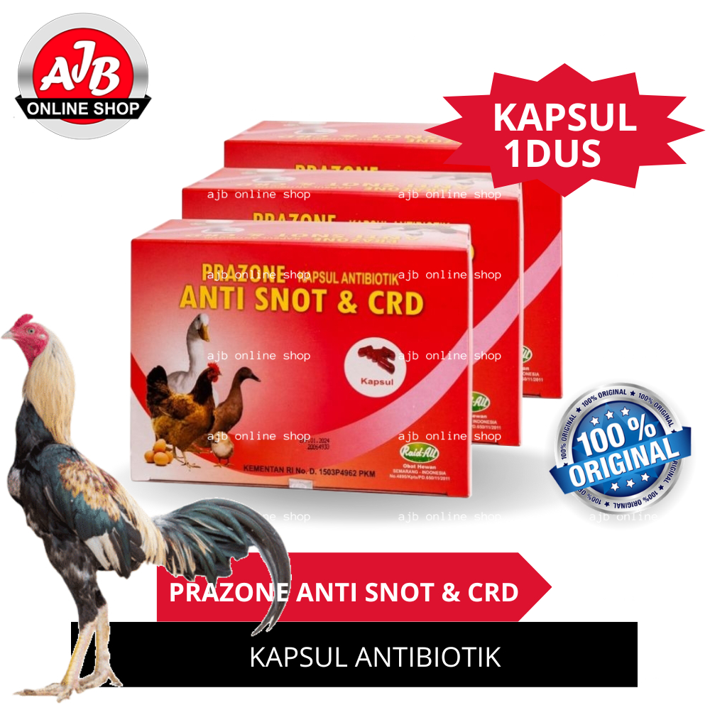 OBAT ANTI SNOT CRD PRAZONE PILEK AYAM BURUNG BEBEK OBAT SNOT FESES KAPUR UNGGAS BEBEK PUYUH BURUNG