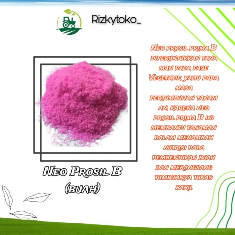 PUPUK BUAH - Neo Prosil B Kemasan 50gram Penyokong Bunga Dan Buah