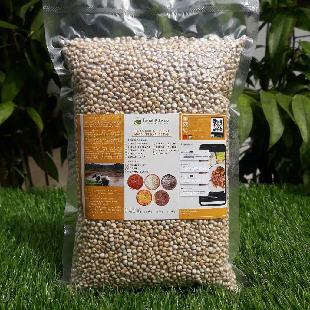 

Beras Sorgum Pecah Kulit FRESH langsung dari Petani I Sorghum I 2kg