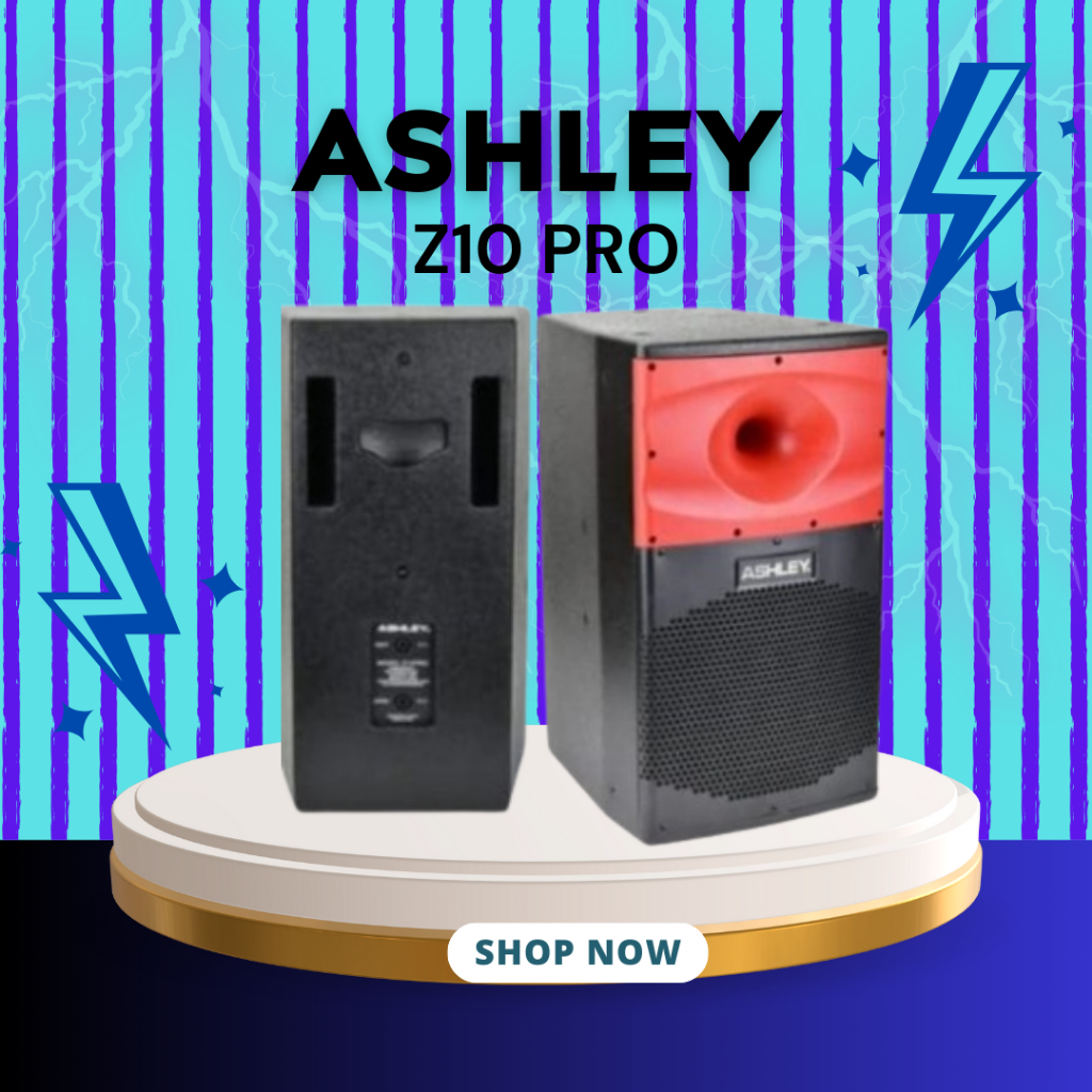 SPEAKER PASIF ASHLEY Z10 PRO / Z-10 PRO / Z 10 PRO 10 INCH MDF MATERIALS GARANSI RESMI ASHLEY