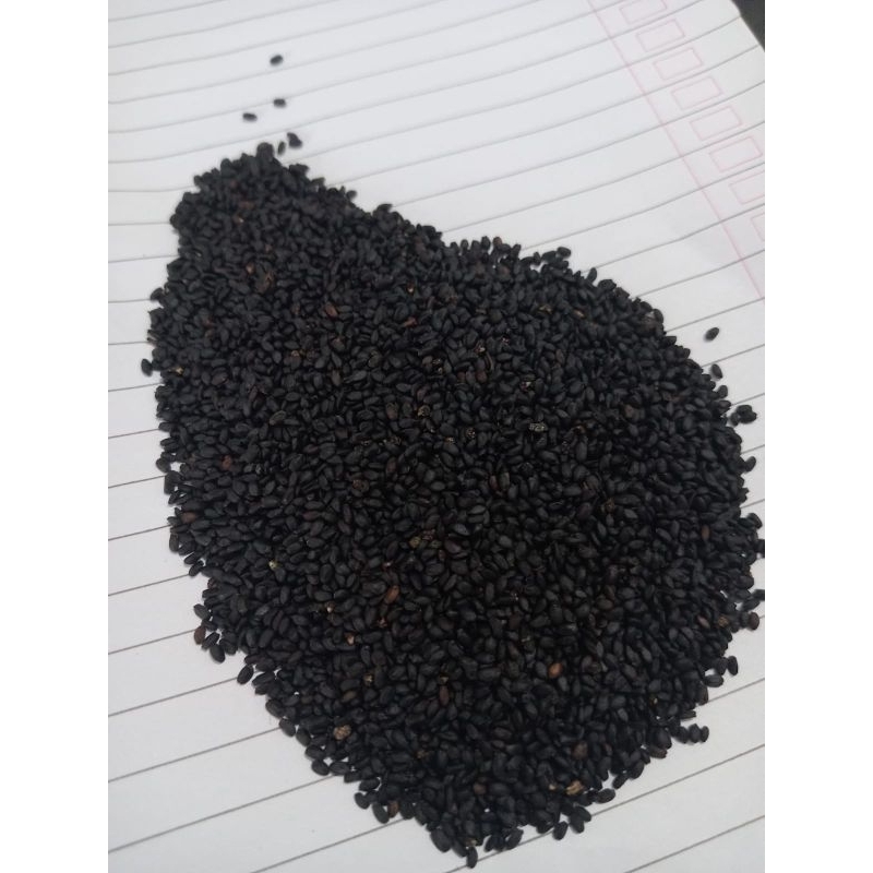 biji selasih 1kg