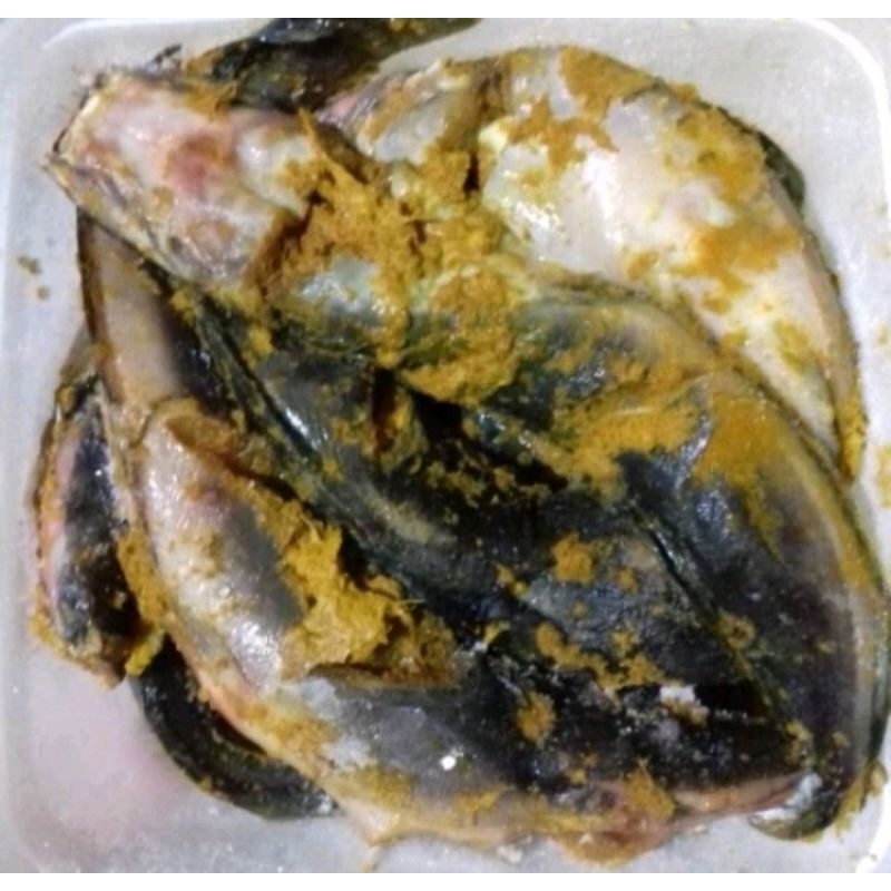 

Lele ungkep bumbu kuning isi 4