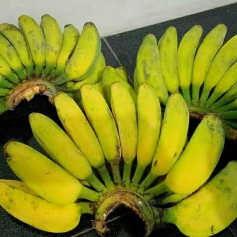 

Aneka Pisang Matang & Mentah Siap Antar