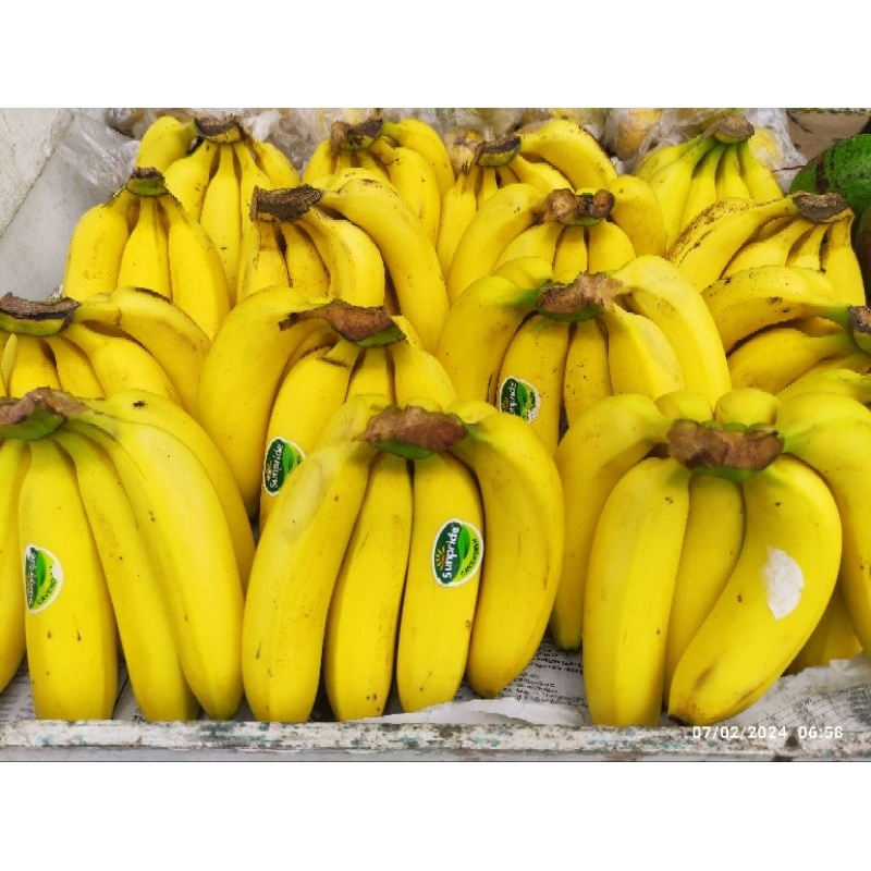 

Pisang Cavendish Sunpride Cengkeh dan Protol