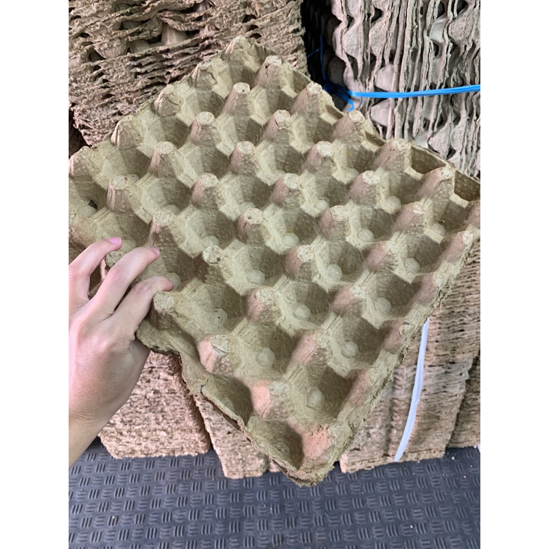 Tray telur bekas / Eggtray karton / Tempat telor / Tray telor (Harga per pcs)- bisa sebagai tambahan