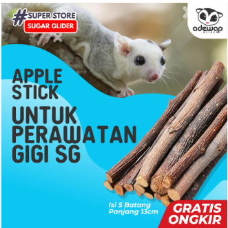 ADEWAP GLIDER Gigitan Kayu Apel Gnawing Perawatan Gigi Sugar Glider