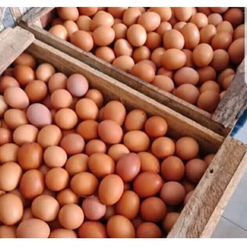 

telor ayam 1kg